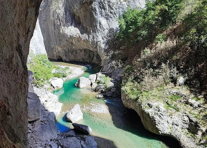 De La Truffiere Les Truffes * Montagnac (Alpes-de-Haute-Provence)