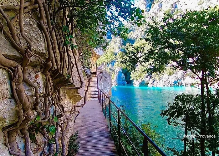 De La Truffiere Les Truffes * Montagnac (Alpes-de-Haute-Provence)